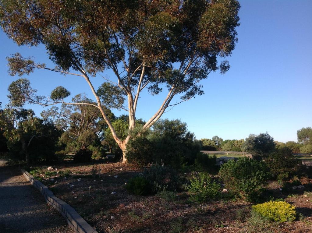 Murray Bridge Motor Inn Εξωτερικό φωτογραφία